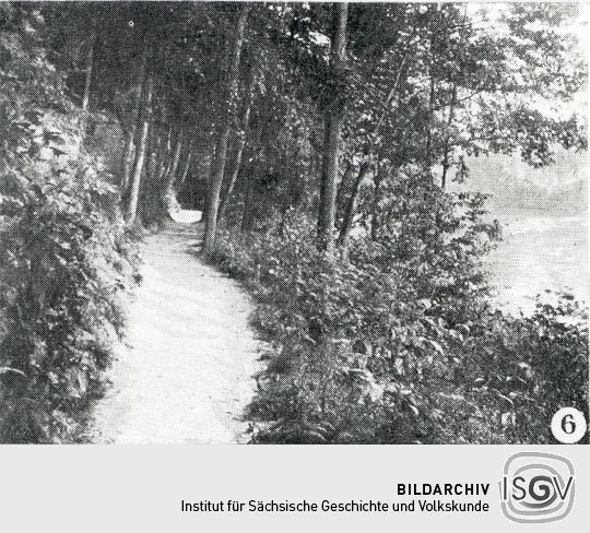 Landschaftsdarstellung der Sächsischen Schweiz