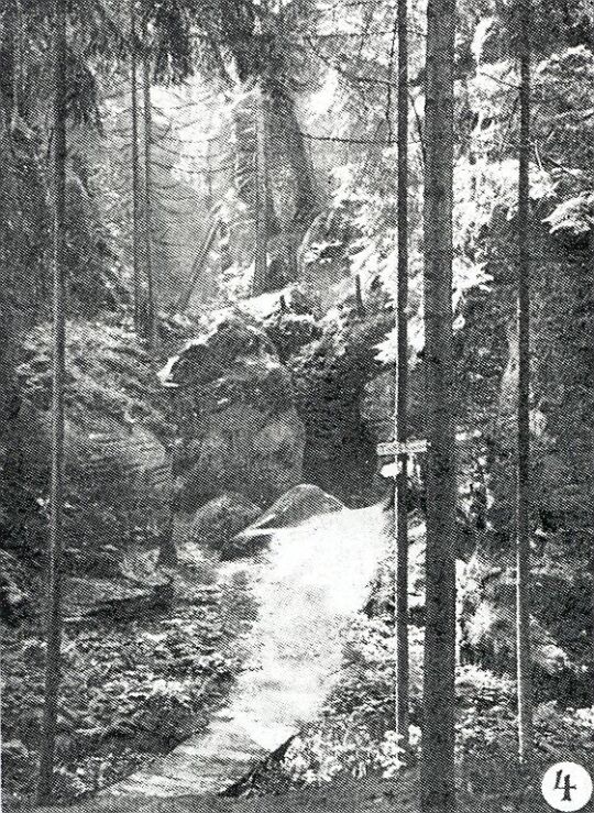 Landschaftsdarstellung der Sächsischen Schweiz