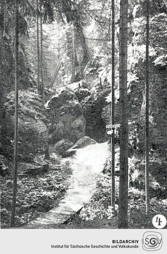 Landschaftsdarstellung der Sächsischen Schweiz