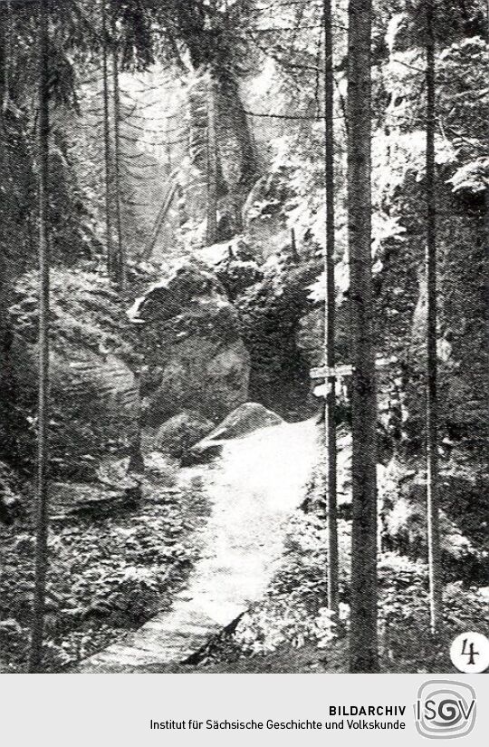 Landschaftsdarstellung der Sächsischen Schweiz
