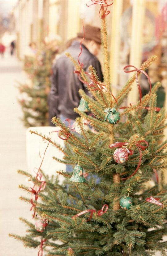 Weihnachtsschmuck vor einem Geschäft in Löbau