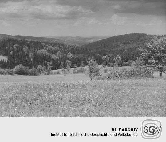 Bielatal bei Altenberg