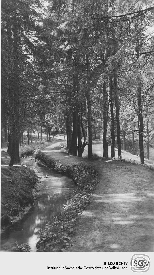 Am Aschergraben bei Altenberg