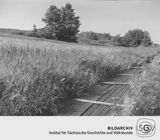 Aschergraben bei Altenberg