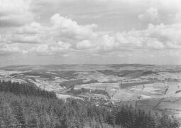 Bild: Blick in das Pöhlbachtal bei Annaberg-Buchholz