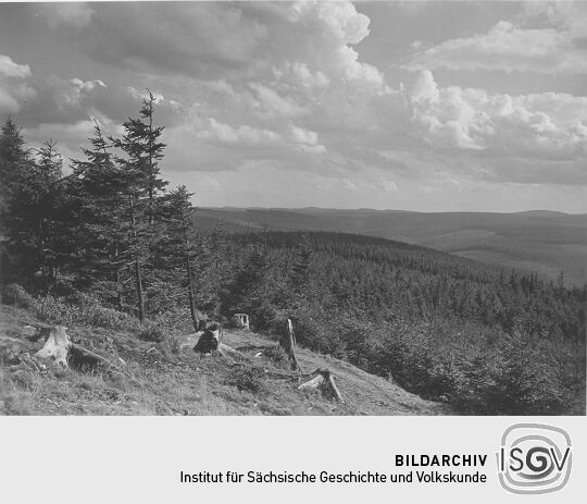 Blick in das Böhmerland