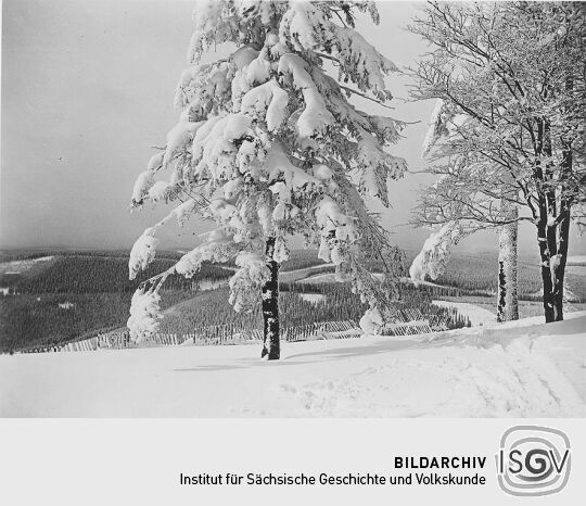 Blick vom Auersberg