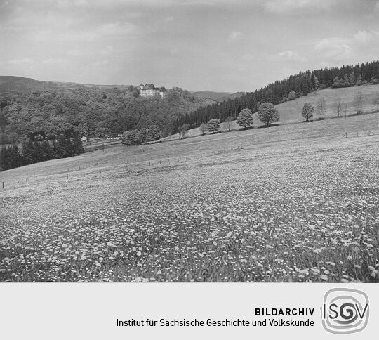 Blick nach Schloß Bärenstein