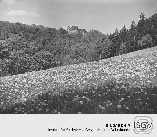 Blick nach Schloß Bärenstein