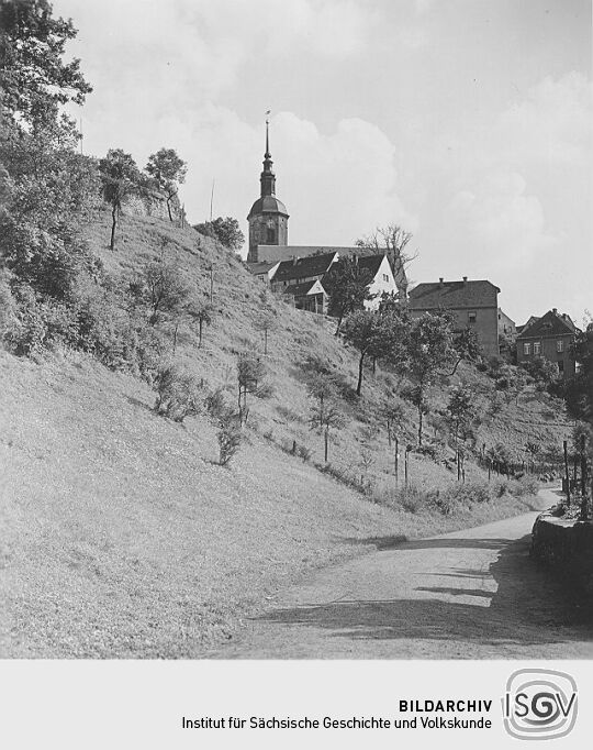 Blick auf die Dohnaer Kirche