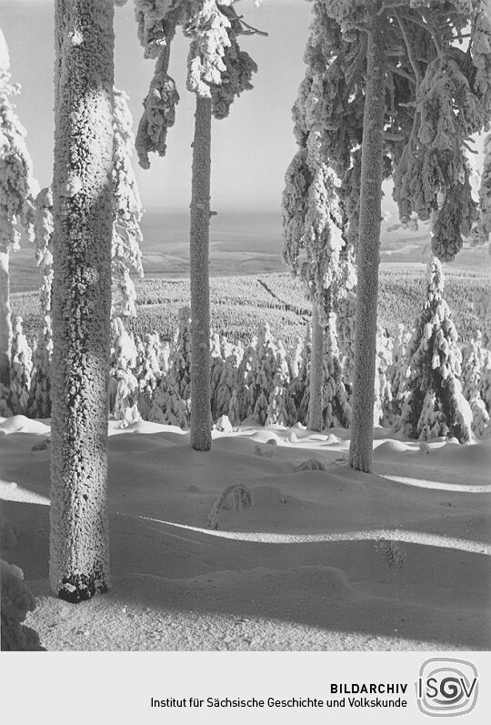 Blick vom Fichtelberg gen Bärenstein