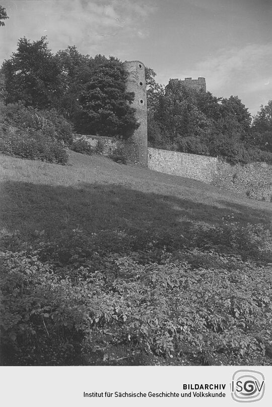 Burgruine Frauenstein