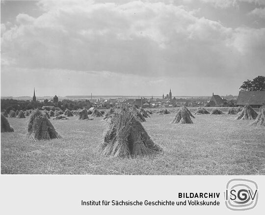 Blick auf Freiberg