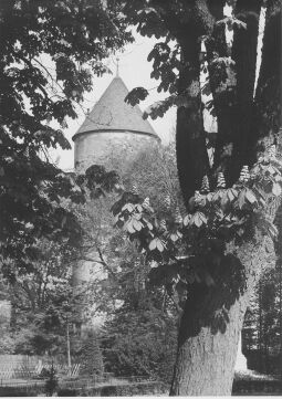 Bild: Schloß Freudenstein in Freiberg