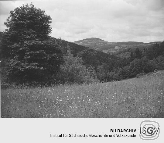 Blick auf den Geising-Berg