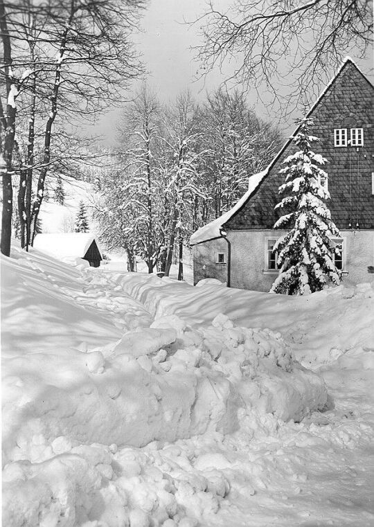 Wildenthal im Schnee