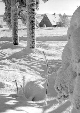 Bild: Landschaft bei Zinnwald