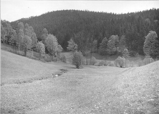 Landschaft bei Börnchen