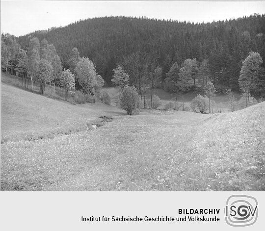 Landschaft bei Börnchen