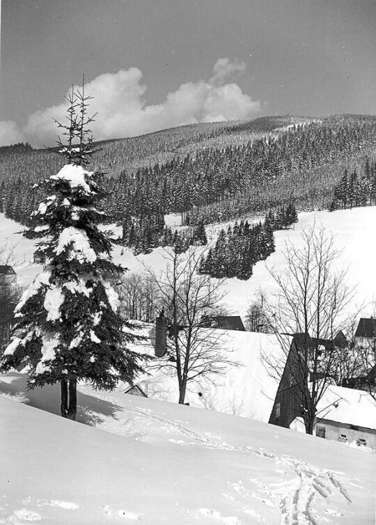 Wildenthal und der Auersberg im Winter