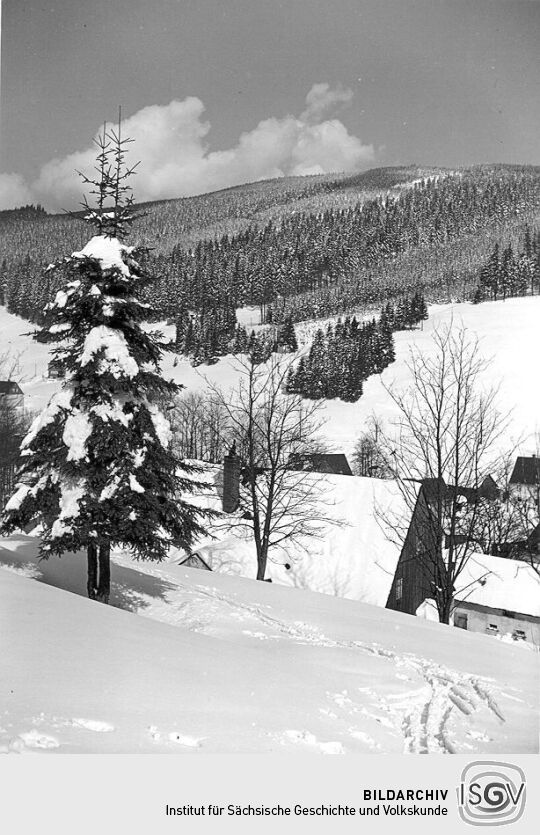 Wildenthal und der Auersberg im Winter