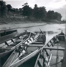 Bild: Fischerboote auf der Elbe