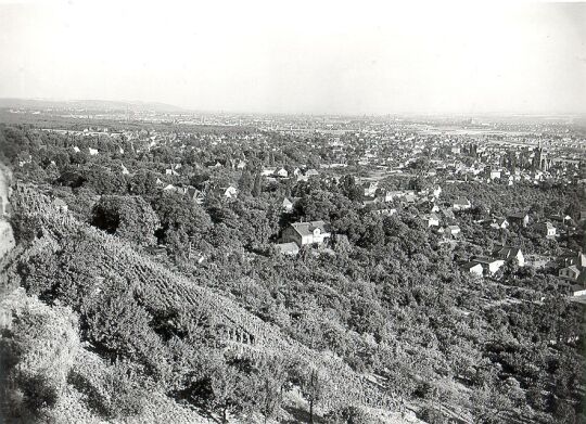 Blick über Radebeul