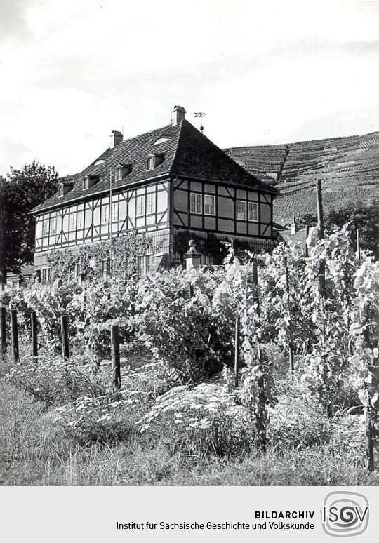 Schloss Hoflößnitz