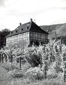 Bild: Schloss Hoflößnitz