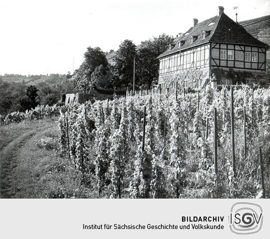 Schloss Hoflößnitz