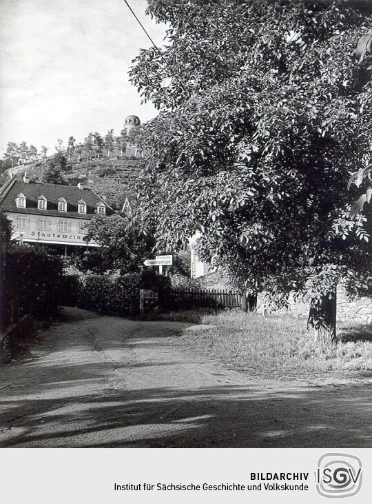 Blick auf das Staatsweingut in Radebeul