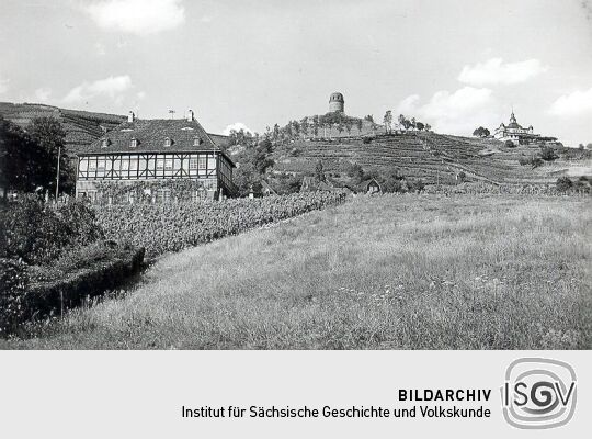 Blick auf Schloß Hoflößnitz