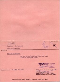 Freitreppe des Schlosses Pillnitz