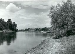 Bild: Blick auf Schloss Pillnitz