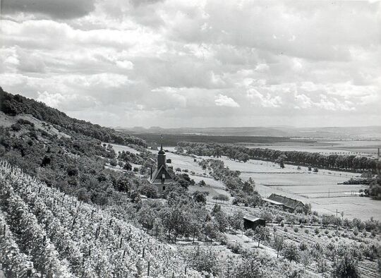 Blick auf die Weinbergskirche und das Elbtal vom Weinbergweg in Pillnitz