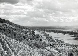 Blick auf die Weinbergskirche und das Elbtal vom Weinbergweg in Pillnitz