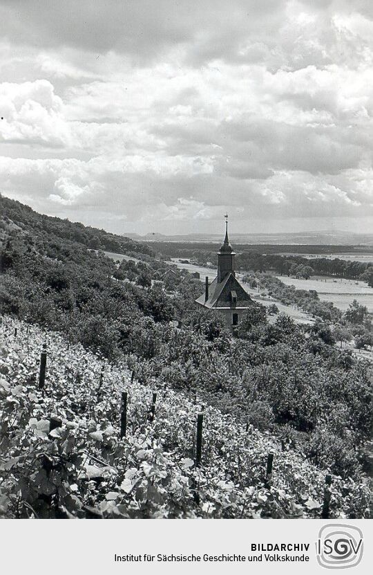 Blick auf die Weinbergskirche und das Elbtal von Pillnitz aus