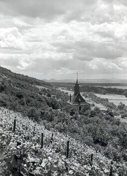 Bild: Blick auf die Weinbergskirche und das Elbtal von Pillnitz aus