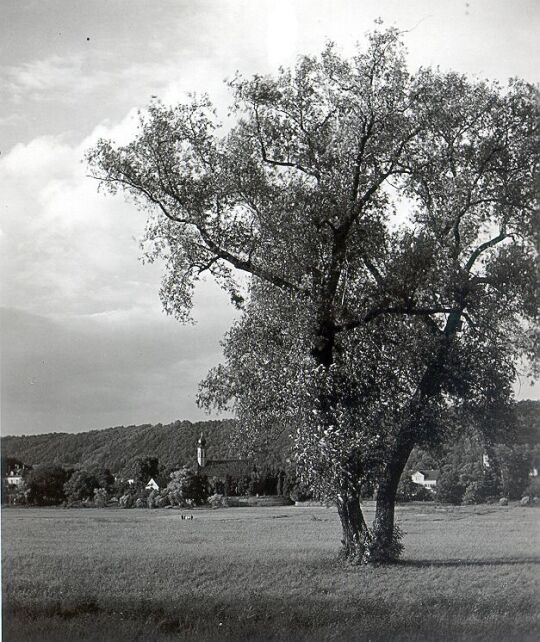 Blick auf Hosterwitz