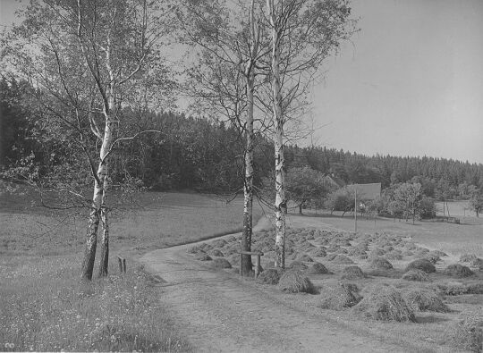 Ein Bauerngehöft in Hirschsprung