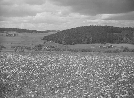 Blick auf Bauernhöfe in Hirschsprung