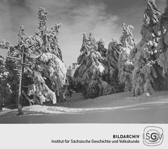 Auf dem Kahleberg bei Altenberg