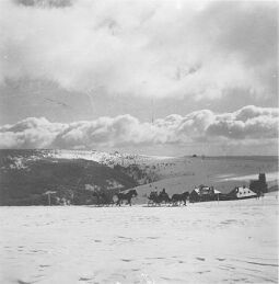 Bild: Schlittenfahrt in der Nähe von Oberwiesenthal