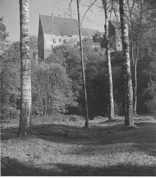 Blick auf Schloß Reinsberg