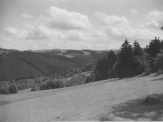 Blick in das Müglitztal bei Bärenstein