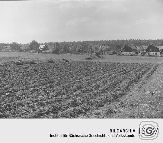 Die Georgenfelder Altsiedlung