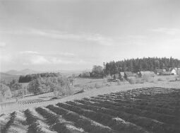 Bild: Blick auf Jägerdörfel