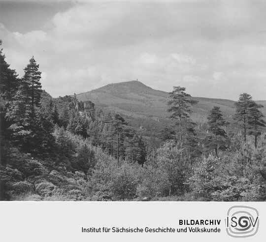 Blick über den Hochwald bei Oybin