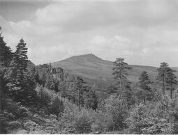 Bild: Blick über den Hochwald bei Oybin