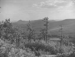 Bild: Blick von der Lausche nach Tschechien